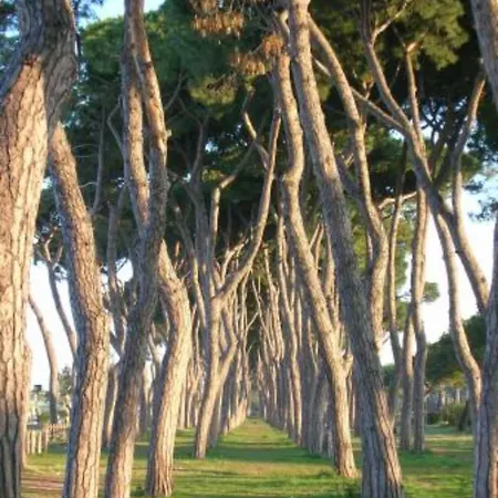 Playadeivo * Pineto